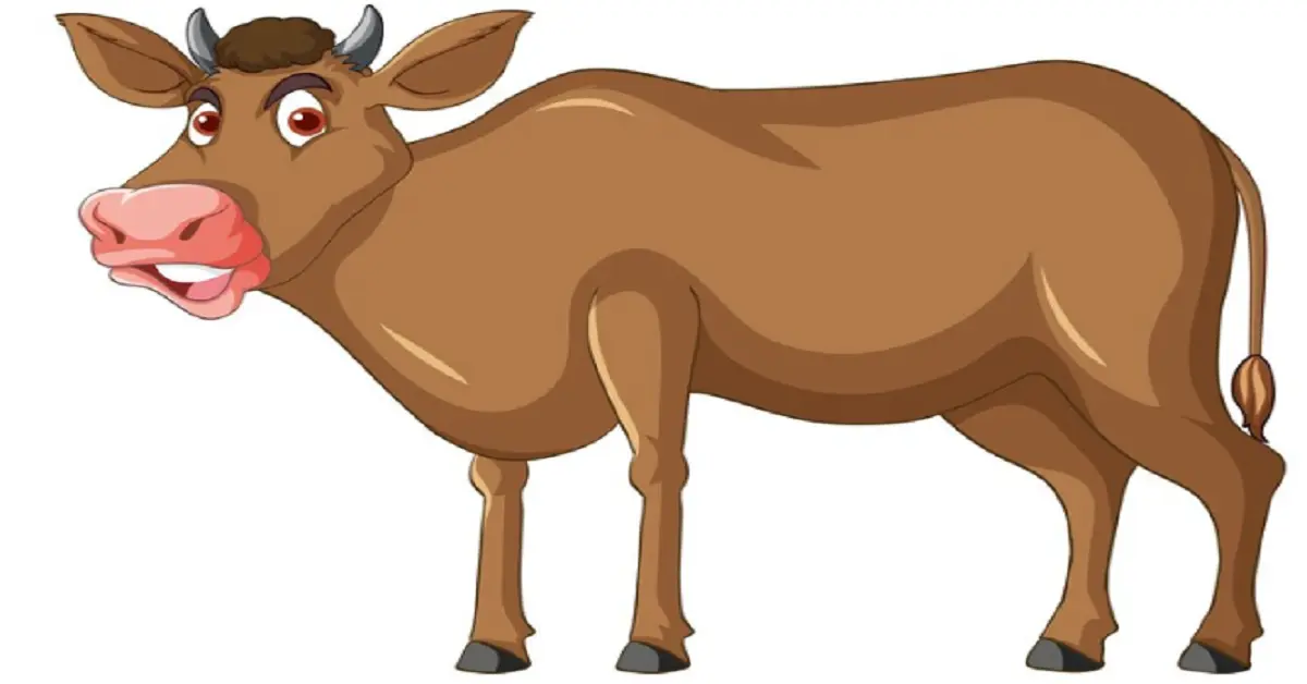 clipart:_n6r7x-sehk= cow